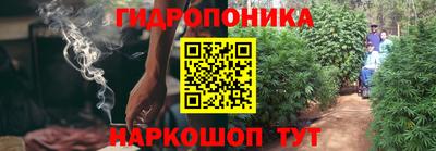 PSILOCYBIN Кандалакша