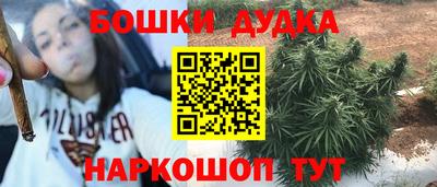 PSILOCYBIN Кандалакша