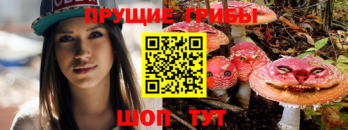 Лесной  Псилоцибиновые грибы мухоморы  Вход с VPN  Псилоцибиновые грибы MAGIC MUSHROOMS 
