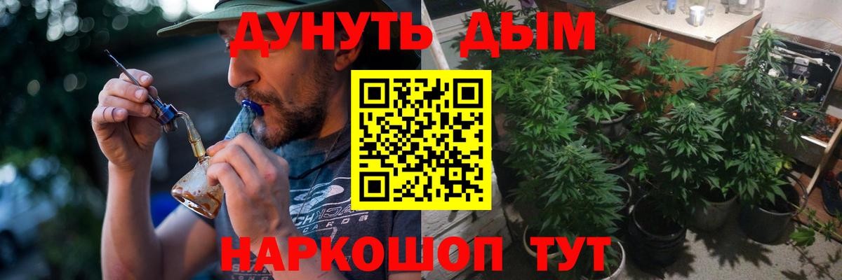 Марихуана планчик  Бошки марихуана Bruce Banner  Лесной  Конопля OG Kush  Вход с VPN 